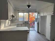 Grand 5 ½ entièrement rénové à louer – Nouveau-Rosemont