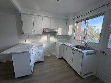 Grand 5 ½ entièrement rénové à louer – Nouveau-Rosemont - Photo 2