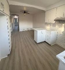 Grand 5 ½ entièrement rénové à louer – Nouveau-Rosemont - Photo 3