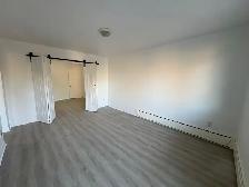 Grand 5 ½ entièrement rénové à louer – Nouveau-Rosemont - Photo 7