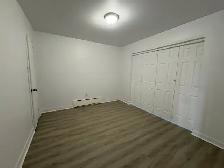 Grand 5 ½ entièrement rénové à louer – Nouveau-Rosemont - Photo 8