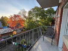 Grand 5 ½ entièrement rénové à louer – Nouveau-Rosemont - Photo 10