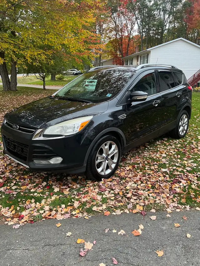 2014 ford escape