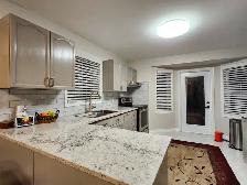 Room in Neat and Quiet Home, South End, From November 1st. - Photo 4