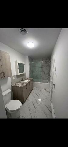 4 1/2 à louer rue d'Iberville Montréal (près du métro) - Photo 8