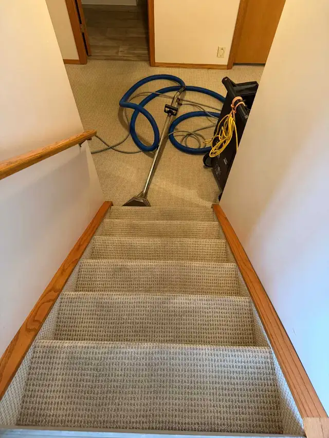 carpet cleaning helper needed.
