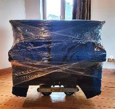 PUNCTUAL MOVERS – , RELIABLE & PROFESSIONAL MOVING SE - Photo 2