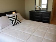 2 BEDROOM CONDO  SPECTACULAR VIEW & EXECUTIVE FURNISHING SQUARE - Photo 5