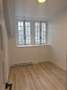 Superbe 4 1/2, rénové à neuf ! Vieux-Québec Libre - Photo 11