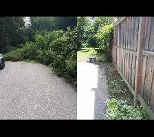 Fall Yard Cleanups | Hedge Trimming & Deck Repairs - Photo 2
