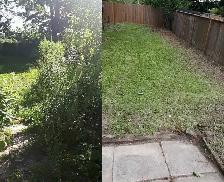 Fall Yard Cleanups | Hedge Trimming & Deck Repairs - Photo 3