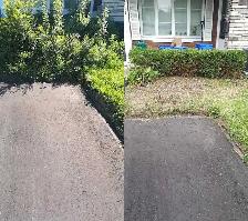 Fall Yard Cleanups | Hedge Trimming & Deck Repairs - Photo 4