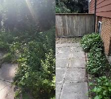Fall Yard Cleanups | Hedge Trimming & Deck Repairs - Photo 5