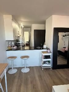 Superbes 3 1/2 entièrement rénové  libre décembre ou janvier