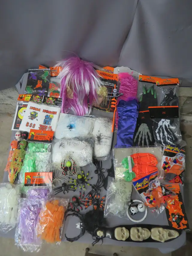 DECO HALLOWEEN SQUELETTE ARRAIGNEE AUTRE NEUF ET UTILISE 1 FOIS