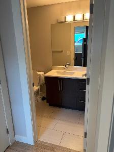 2 Bedroom Basement Suite in Evergreen - Photo 6