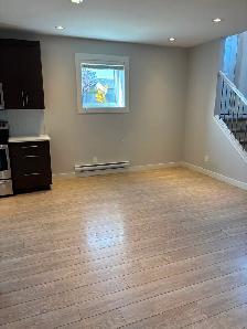 2 Bedroom Basement Suite in Evergreen - Photo 7