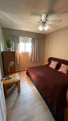 FOR RENT 1 Bd apartment -  short and long terms - Photo 3