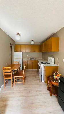 FOR RENT 1 Bd apartment -  short and long terms - Photo 4