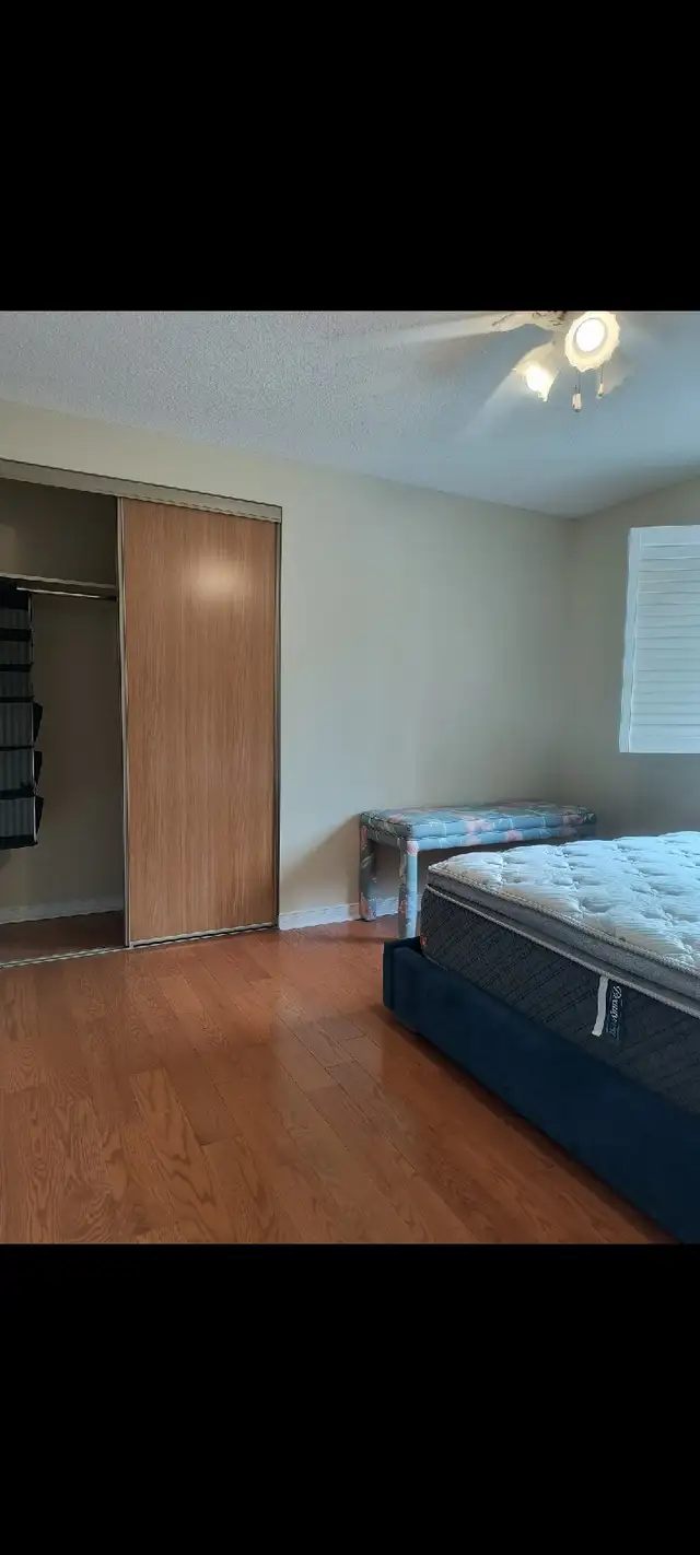 Room for rent female Occupancy