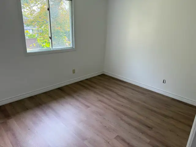 Main Floor 3 Bedroom House