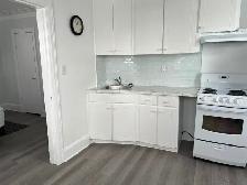 Stylish Fully Furnished Bachelor Apt for Rent