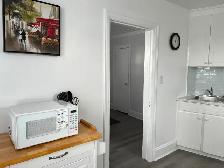 Stylish Fully Furnished Bachelor Apt for Rent - Photo 4