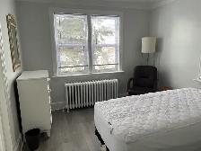Stylish Fully Furnished Bachelor Apt for Rent - Photo 5