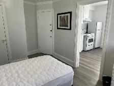 Stylish Fully Furnished Bachelor Apt for Rent - Photo 7