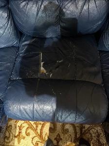 Free. reclining sofa - Photo 3