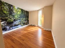 240 Maisonneuve – Ground Floor – Hull - Photo 5
