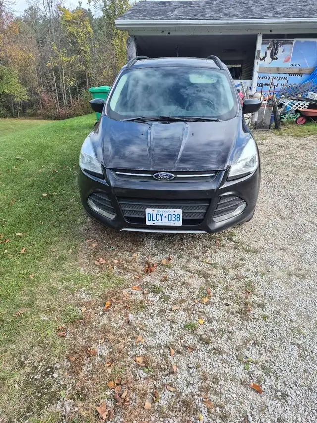2014 Ford escape