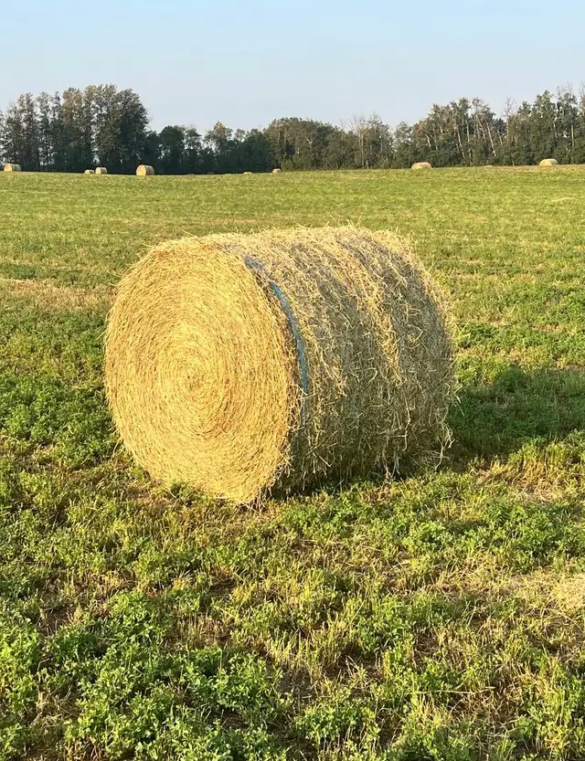 Round Hay Bales