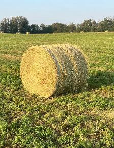 Round Hay Bales