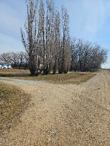Residential land for sale On Hwy #1 besides miller campground - Photo 9