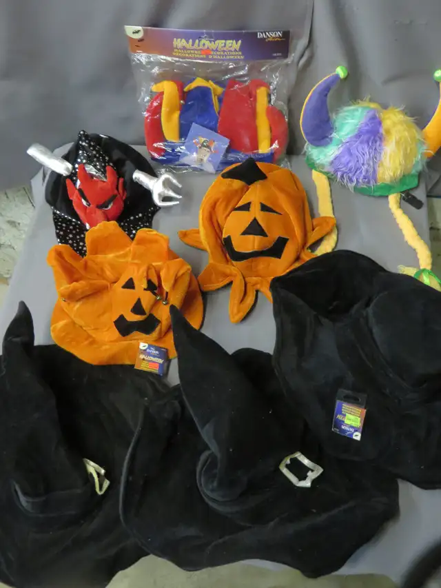 HALLOWEEN 8 CHAPEAUX NEUF DIFF PAS DOLARMA