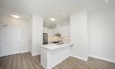 Stouffville PH 2 Bedroom   Den, 2 Bathrooms, 2 Parking - Photo 3