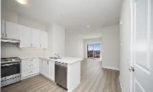 Stouffville PH 2 Bedroom   Den, 2 Bathrooms, 2 Parking - Photo 5