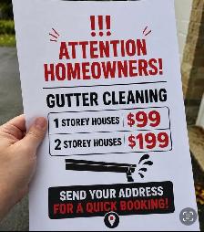 Gutter Cleaning in Hamilton