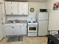 Furnished Bachelor Apt for Rent