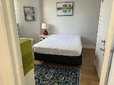 Furnished Bachelor Apt for Rent - Photo 4