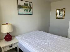 Furnished Bachelor Apt for Rent - Photo 5