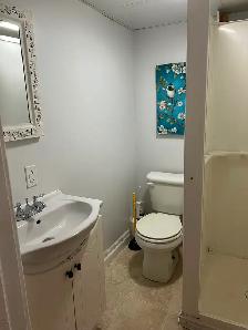 Furnished Bachelor Apt for Rent - Photo 8