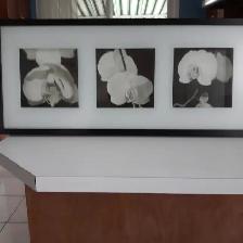 BEAU CADRE NEUF BLANC NOIR À ORCHIDÉES 28'LARGEx12'HAUT: $25.00 - Photo 4