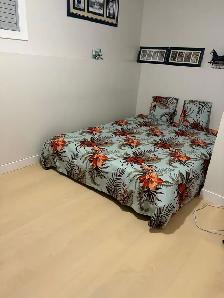 Basement For Rent- 2 Bedroom - Photo 4