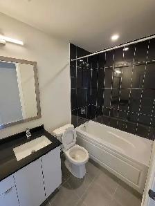 Large 2 1 Bedroom Condo | 2 Bath | Large Den | Near Kipling Stn - Photo 5