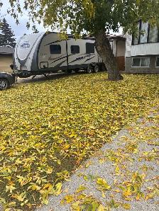 leaf cleaning - Photo 2