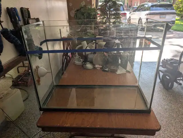 Aquarium/Fish or Reptile tank