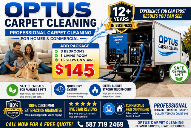 Does your home exterior look great while your carpet suffer