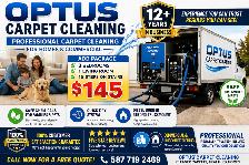 Does your home exterior look great while your carpet suffer